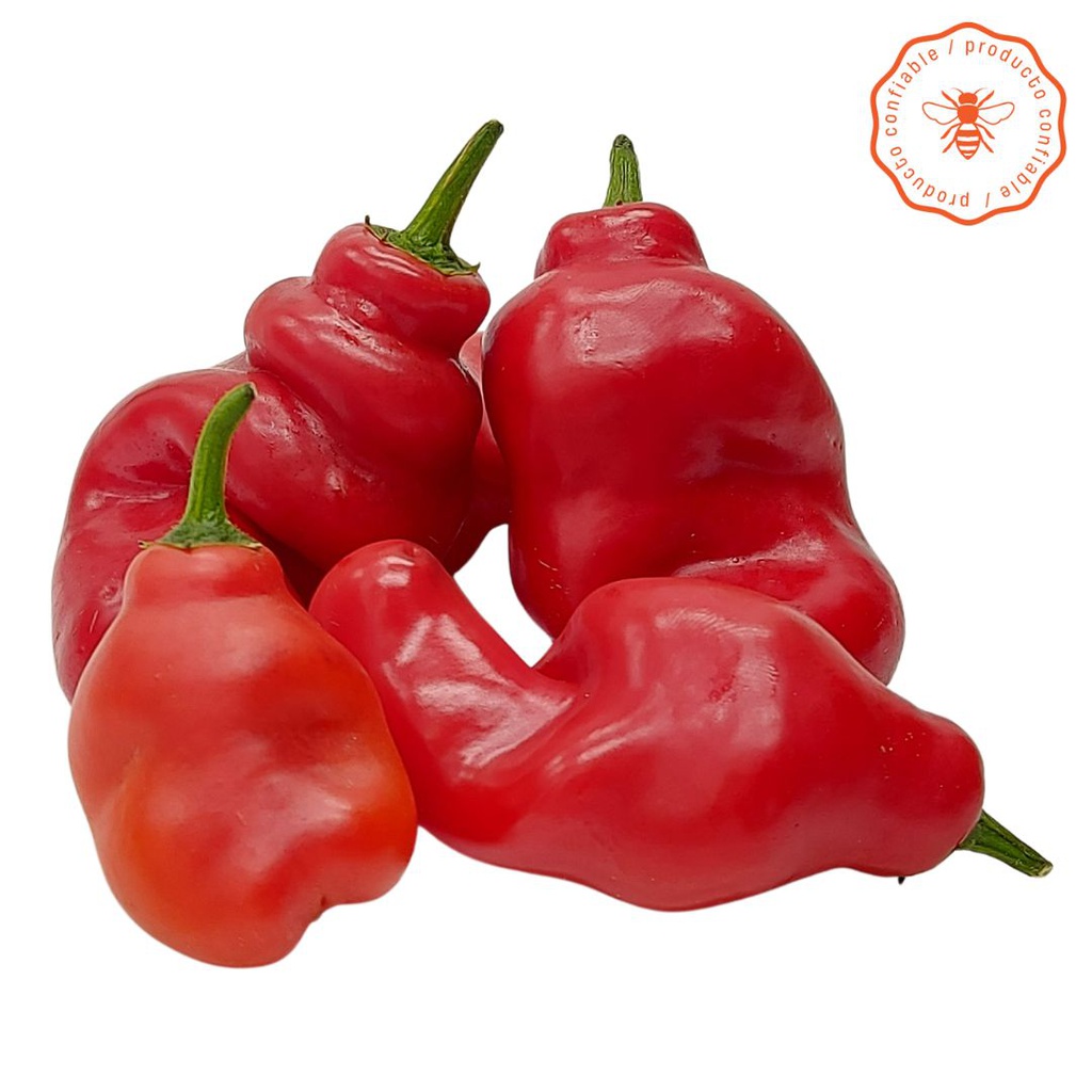 AJI ROCOTO ORGANICO X 100 GR