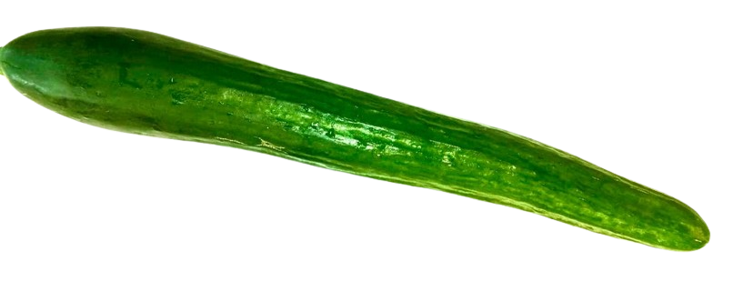 PEPINO COHOMBRO CONFIABLE X 500GR