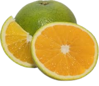 NARANJA VALENCIA ORGANICA X KG