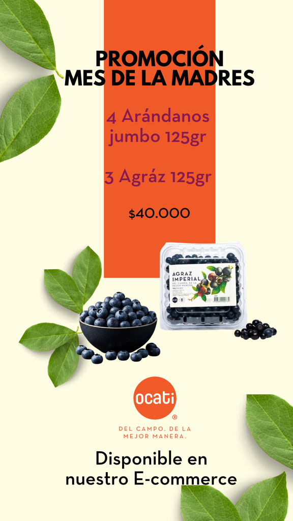PROMOCIÓN MES DE LAS MADRES