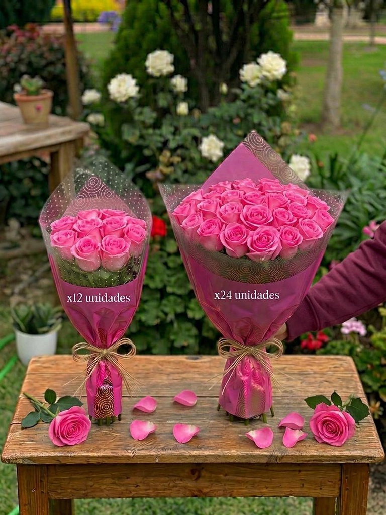ROSAS EXPO CAT 1 LIGHT PINK