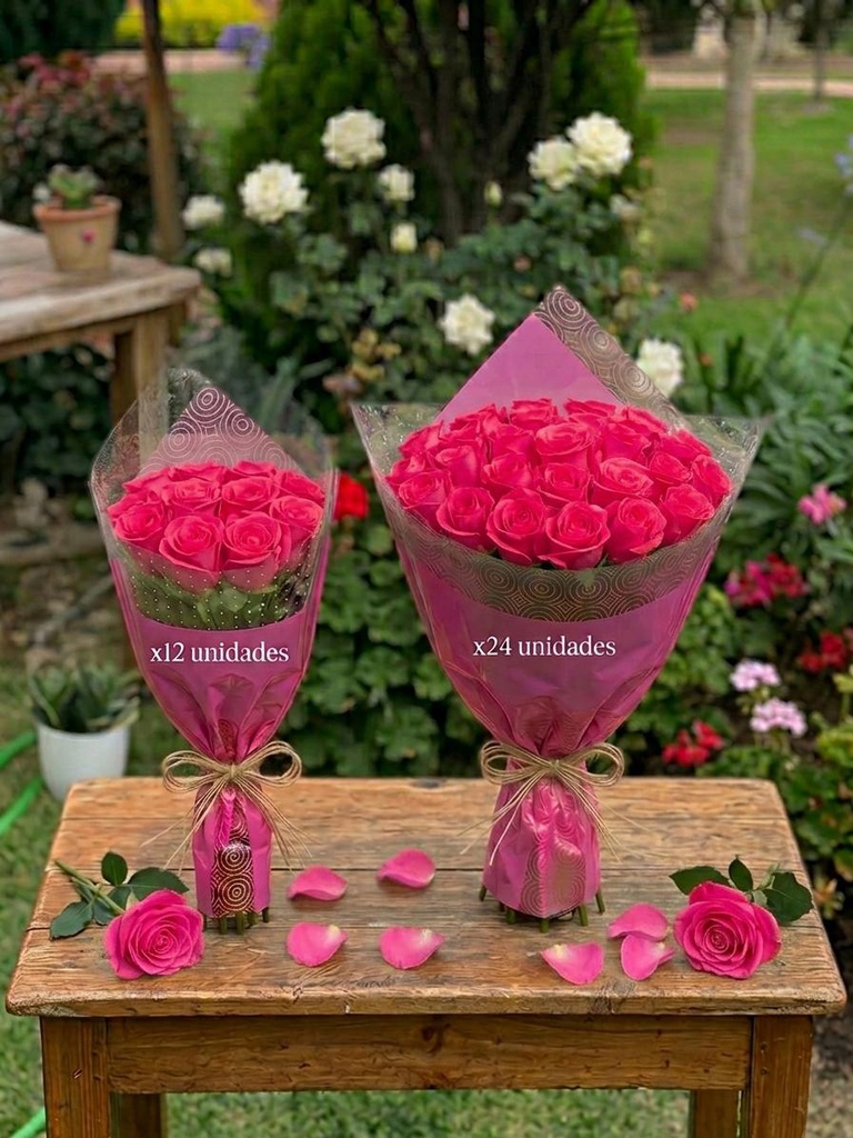 ROSAS EXPO CAT 1 HOT PINK