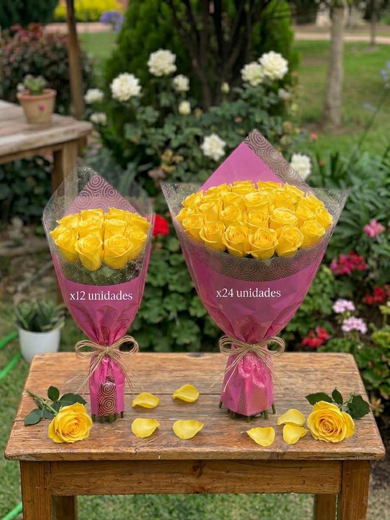 ROSAS EXPO CAT 1 YELLOW