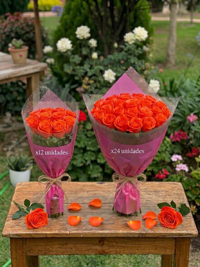 ROSAS EXPO CAT 1 ORANGE
