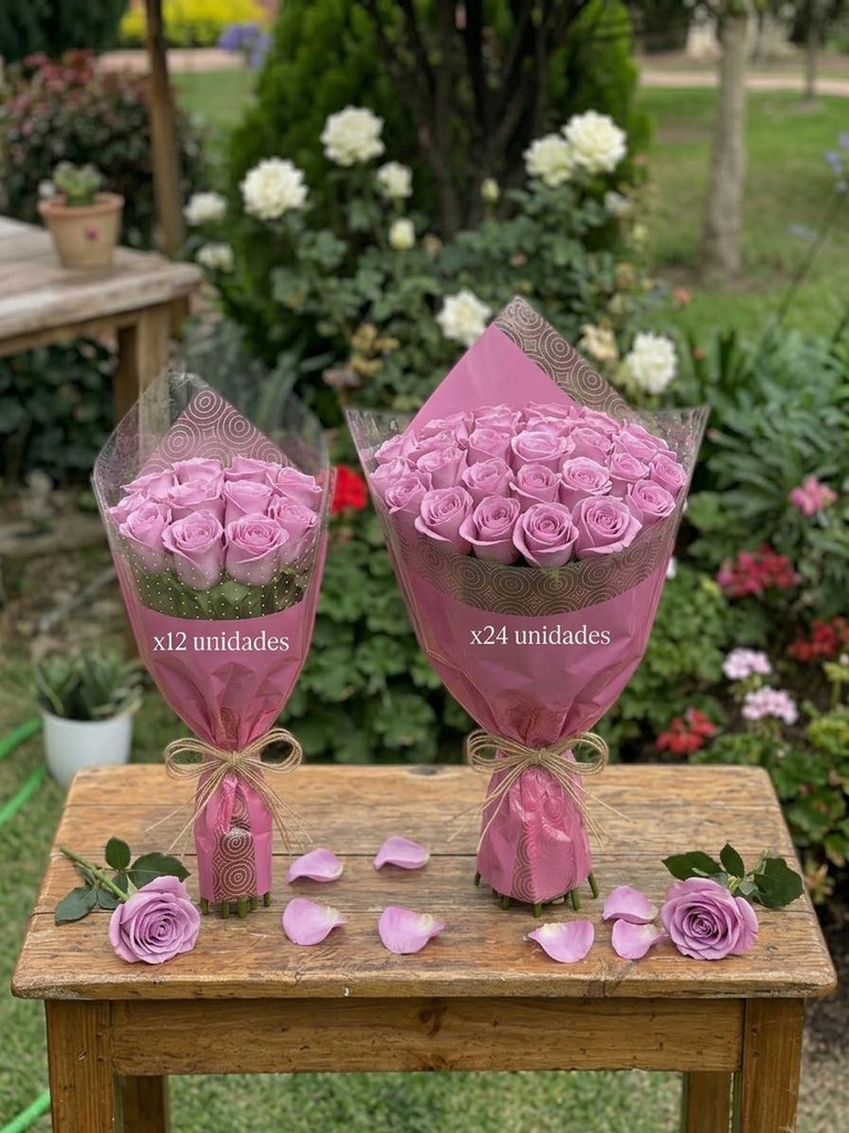 ROSAS EXPO CAT 2 LAVENDER
