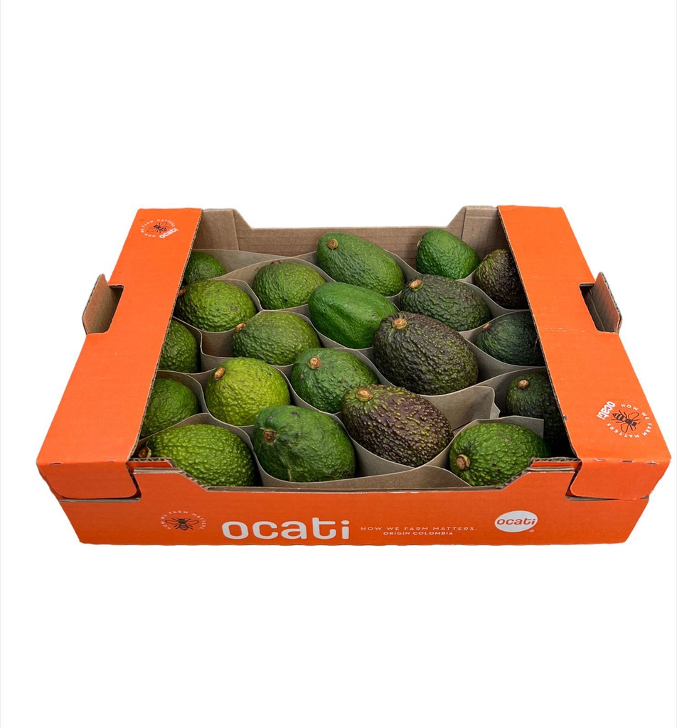 CAJA AGUACATE HASS X 20 UNIDADES
