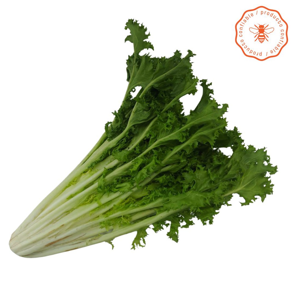 LECHUGA ESCAROLA ORGANICA X250GR