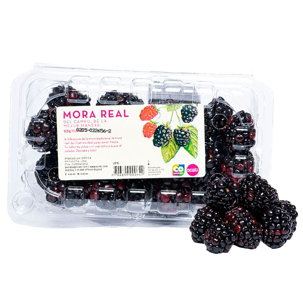 MORA REAL ORGANICA POR 125G