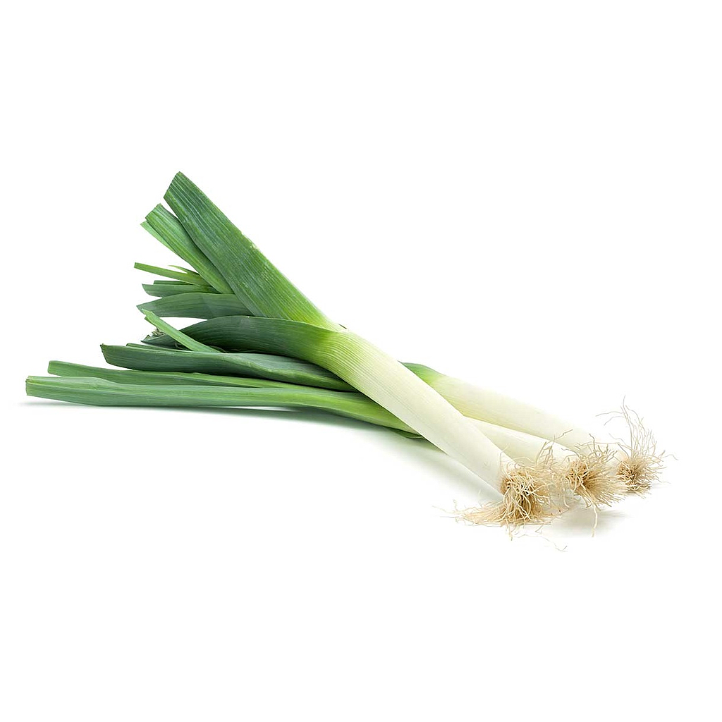 CEBOLLA PUERRO ORGANICA