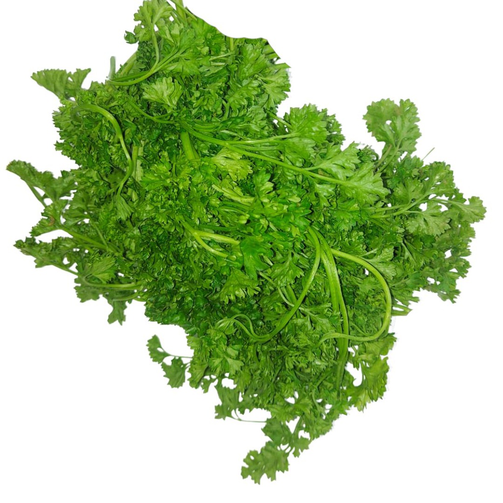 PEREJIL CRESPO ORGANICO