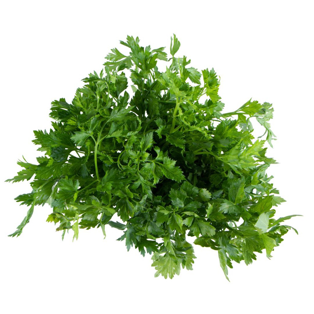 PEREJIL LISO ORGANICO