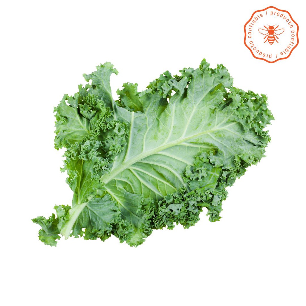 KALE ORGANICO LISO X250GR