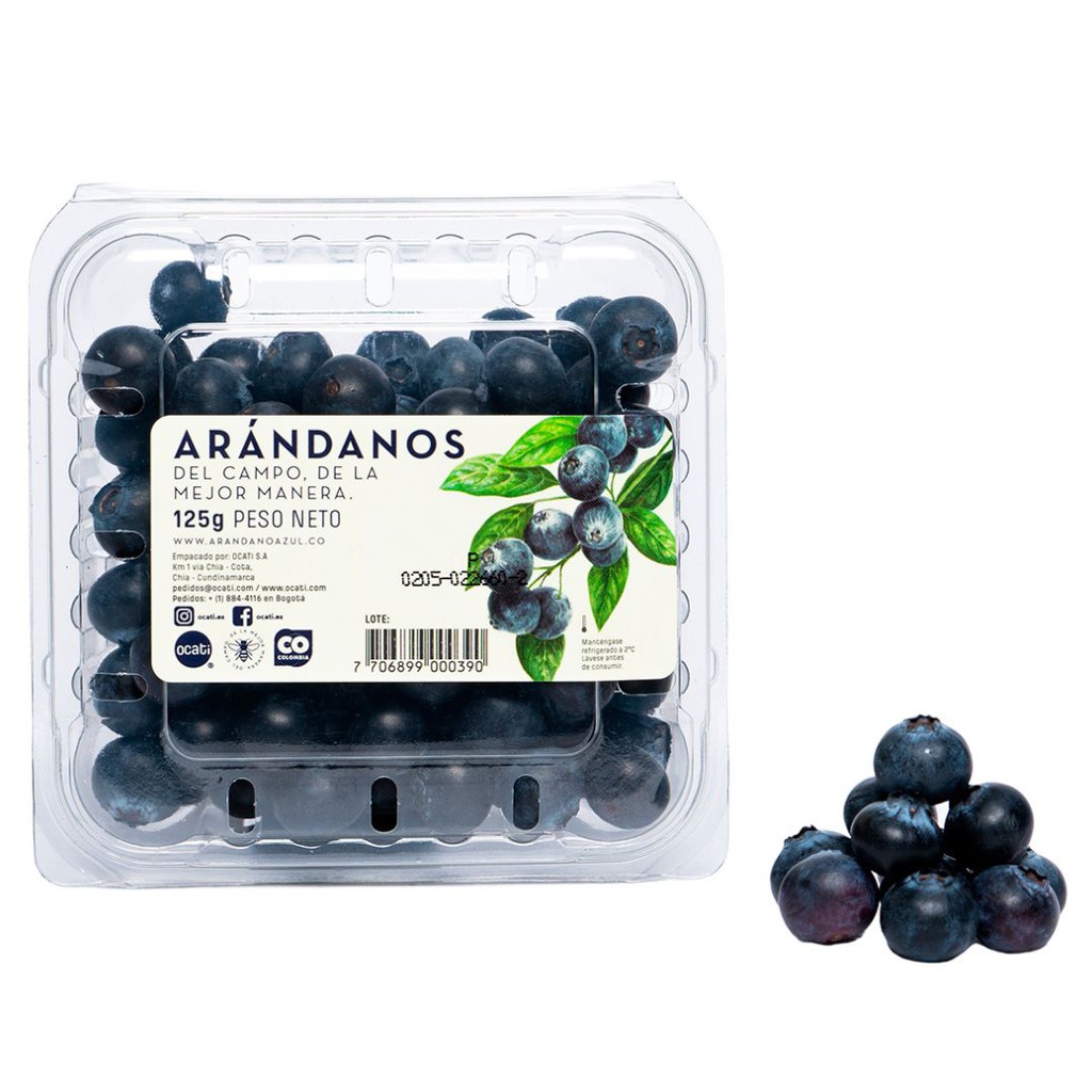 ARANDANO EXPORTACION P X 125G 