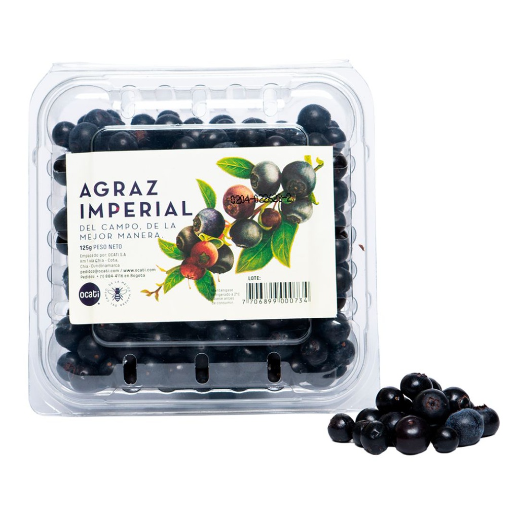 AGRAZ  EXPORTACION (KG)