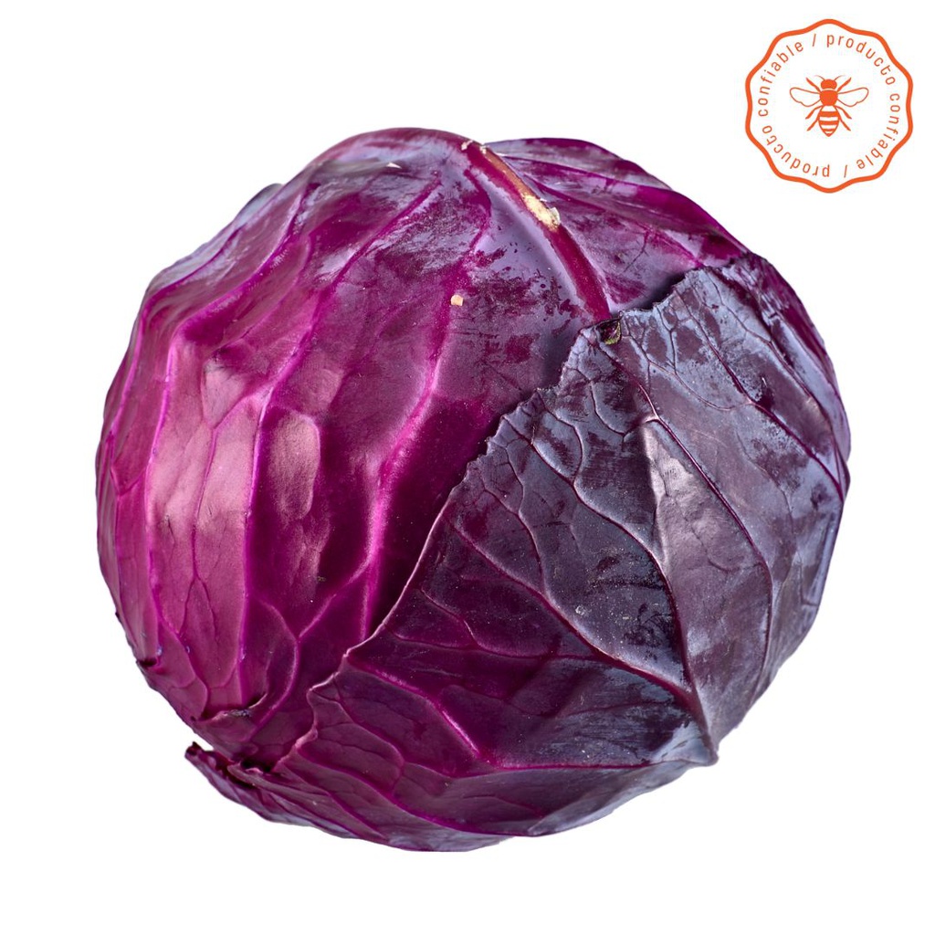 REPOLLO MORADO UNIDAD X500GR