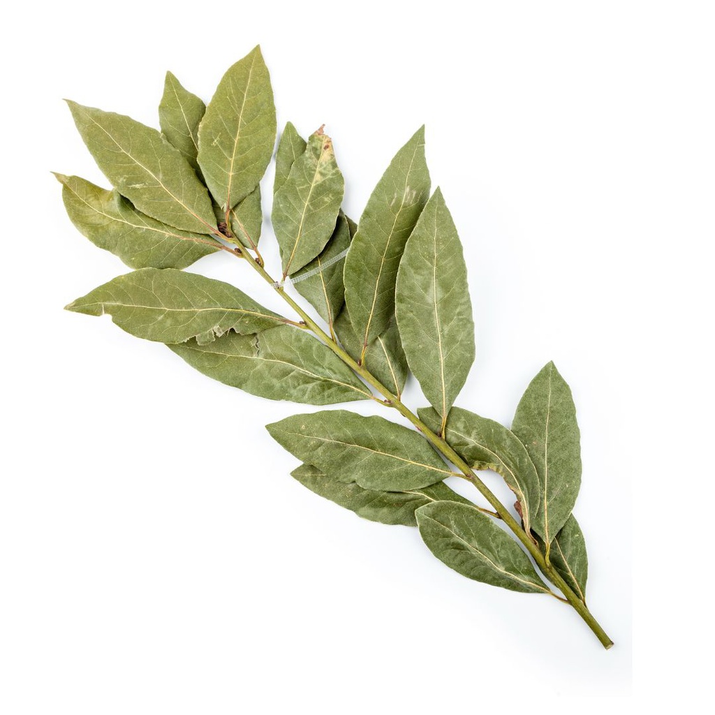 LAUREL ORGÁNICO X 50 GRAMOS