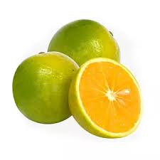 NARANJA OMBLIGONA X KILO