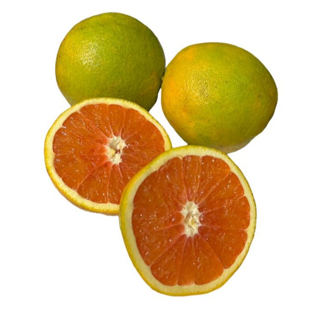 NARANJA TANGOR X KG