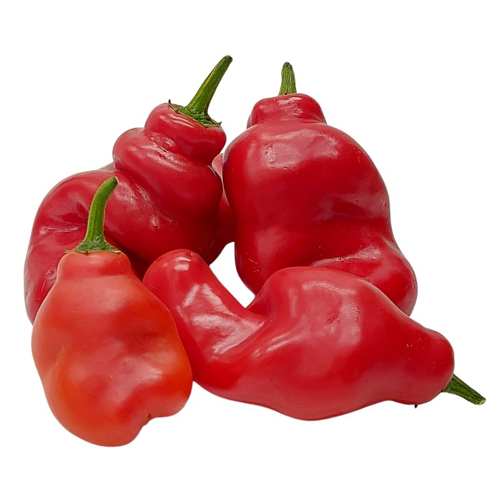 AJI ROCOTO POR 100 GR