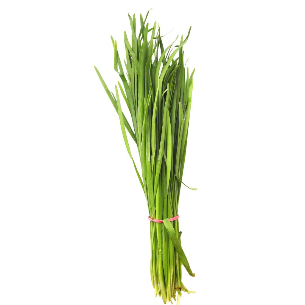 CEBOLLIN ORGANICO UNIDAD 25 GR