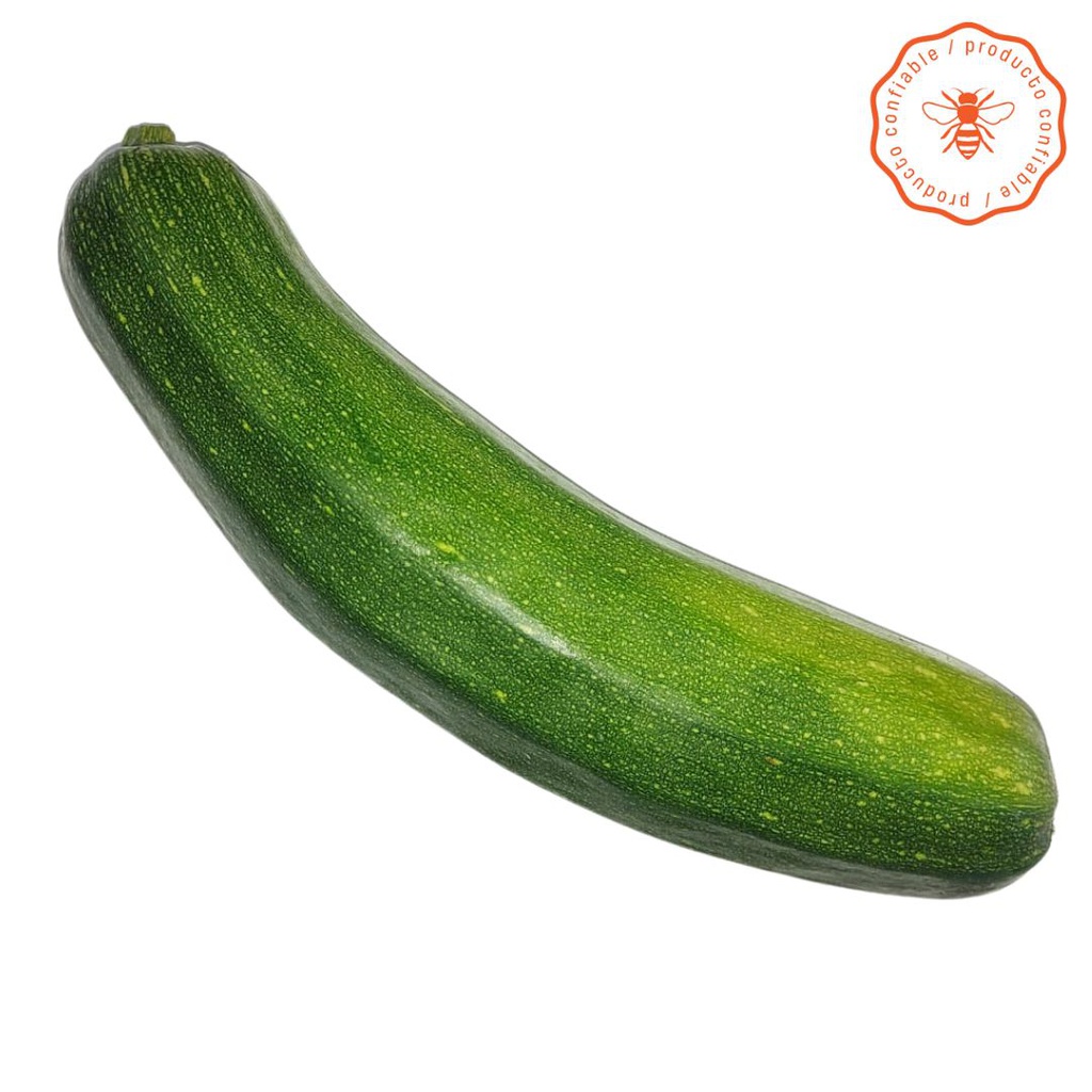 ZUCHINNI VERDE 500 GR