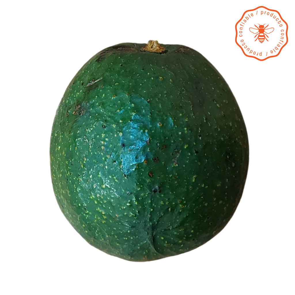 AGUACATE X UND TAMAÑO JUMBO (800 A 1000 GR)