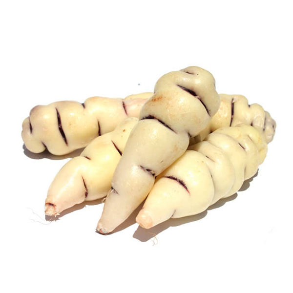 CUBIOS X500GR