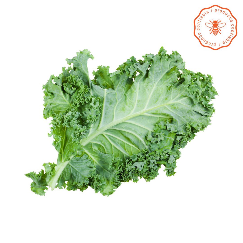 [MP8NL_0083] KALE ORGANICO LISO X250GR