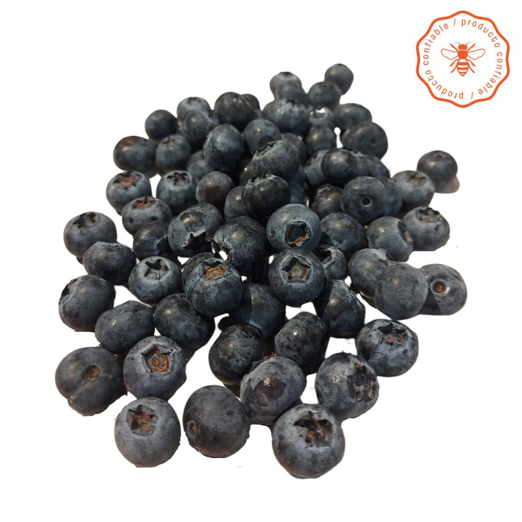 [MP8NL_0012] ARANDANO EXPORTACION M X 125G