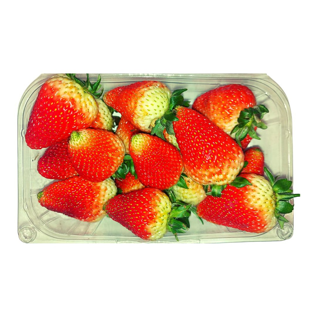 [MP8NL_290] FRESA JUMBO X 500G