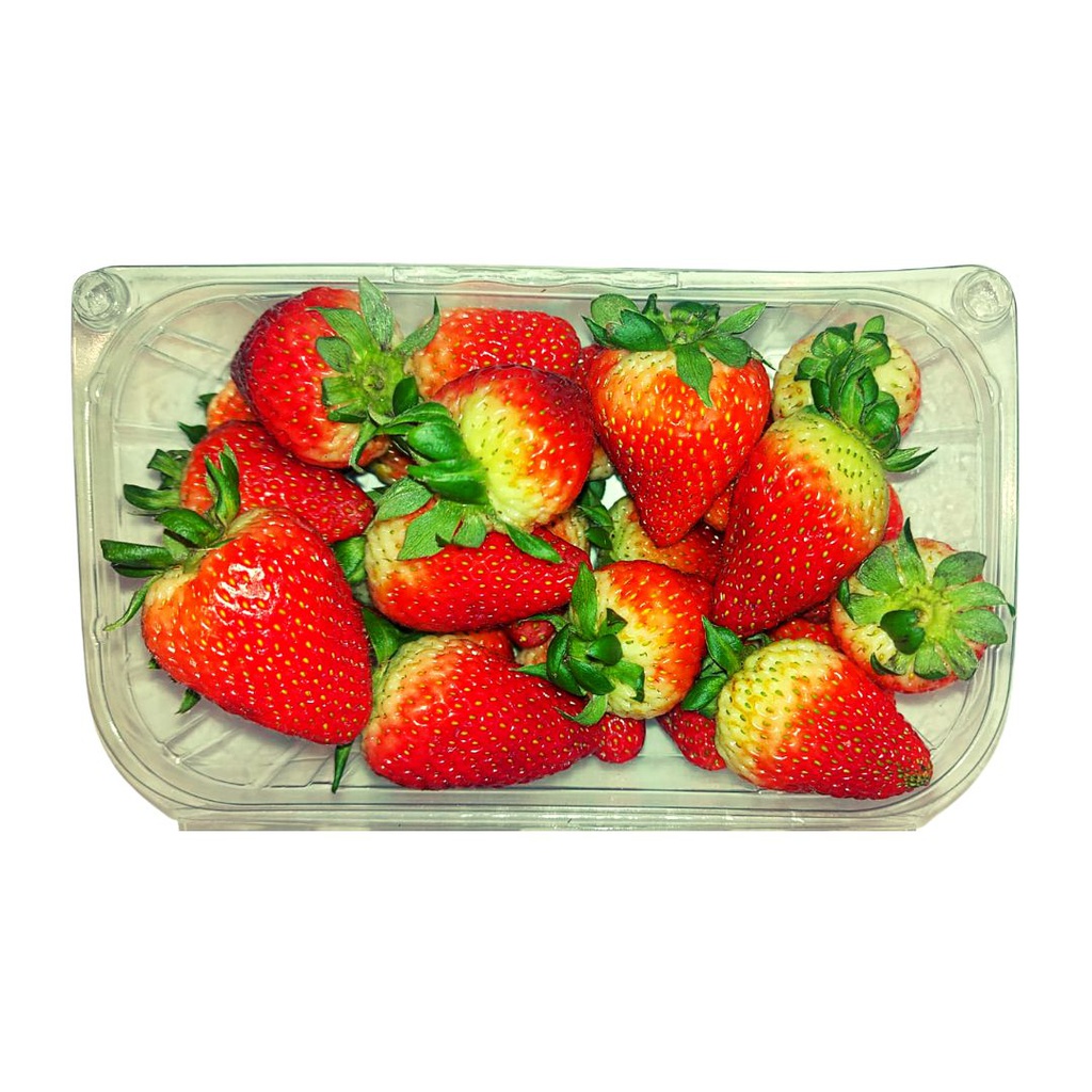 [MP8NL_291] FRESA GRANDE X 500G
