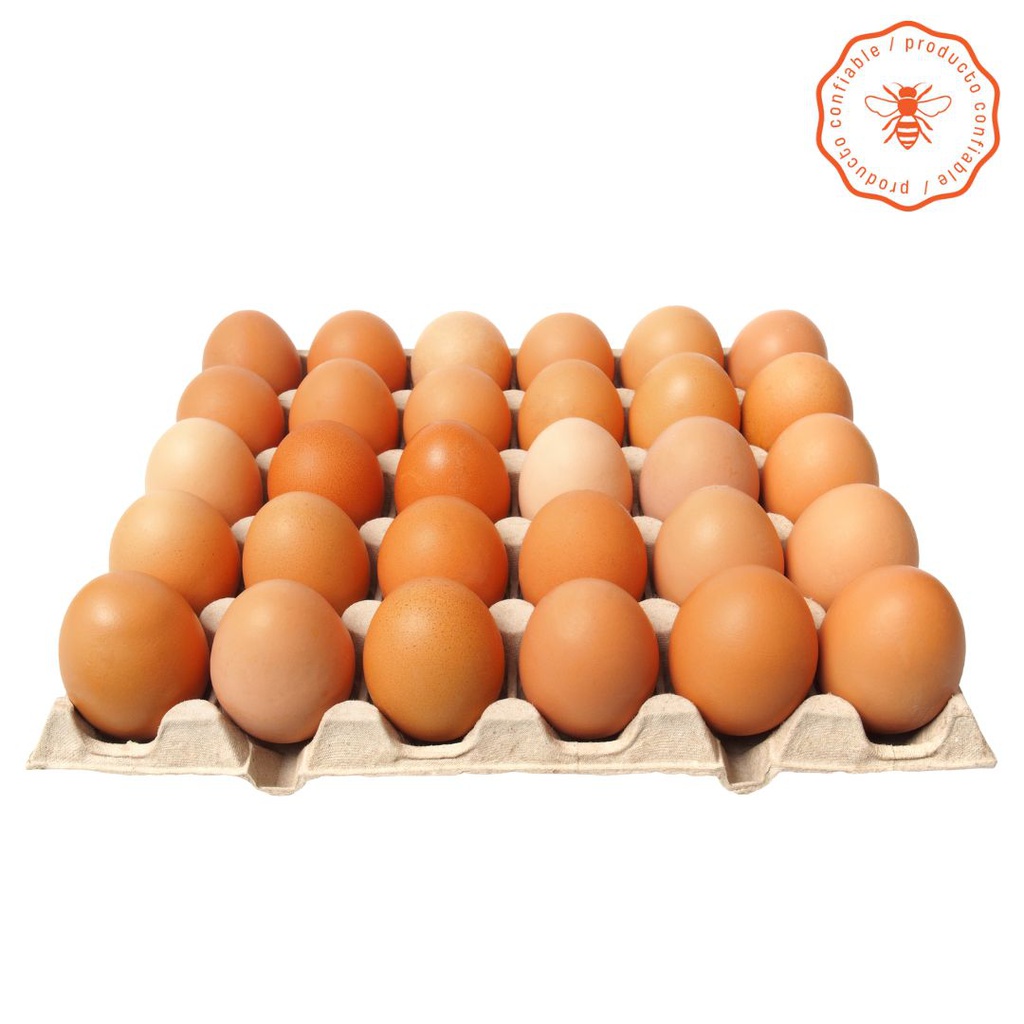 [MP3NL_0435] CUBETA DE HUEVOS X 30 UND