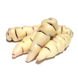 [MP8NL_327] CUBIOS X500GR