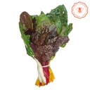 [MP8NL_350] ACELGA DE COLORES CONFIABLE X500GR
