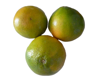 [MP3NL_0544] NARANJA TANGELO CONFIABLE X KG